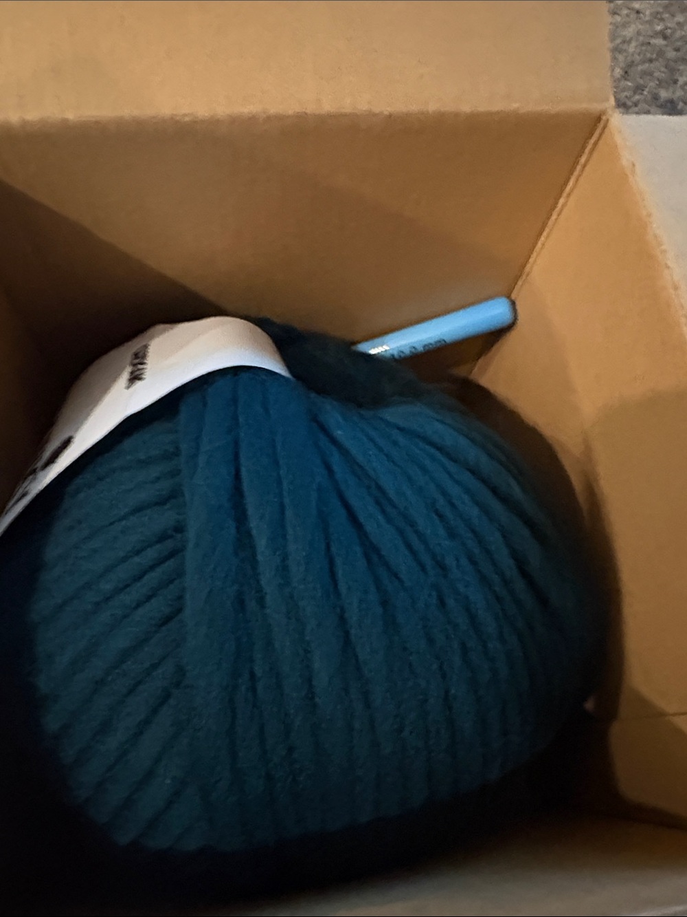 Cardigang Green Beanie - Women's Knit Crochet Hat Kit